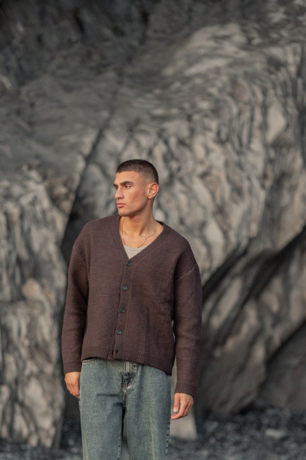 Cardigan Bruin